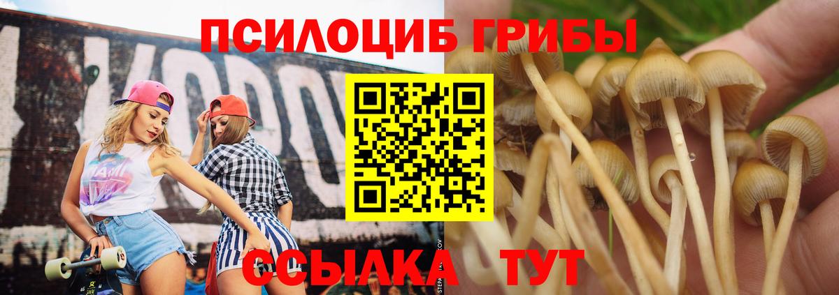 Псилоцибиновые грибы Magic Shrooms  Вход с VPN  Грязи 