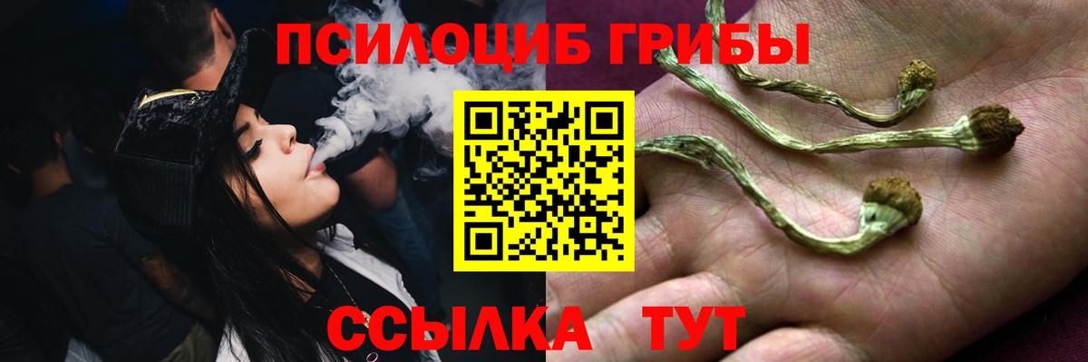 Псилоцибиновые грибы Psilocybe Грязи